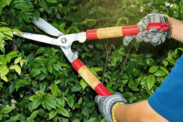 Security Services in Pune